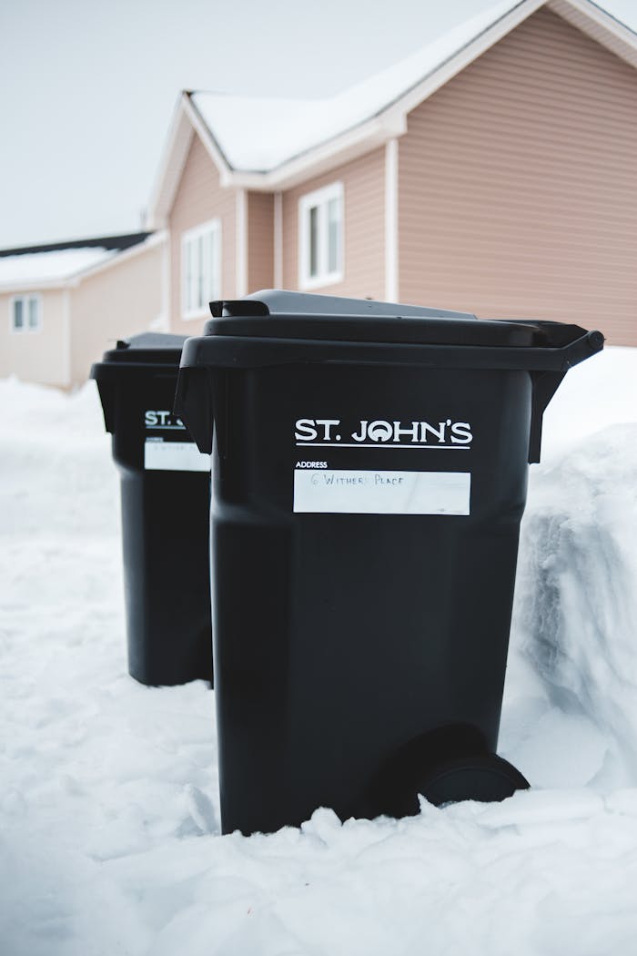 Trash bins outside a home before cleaning